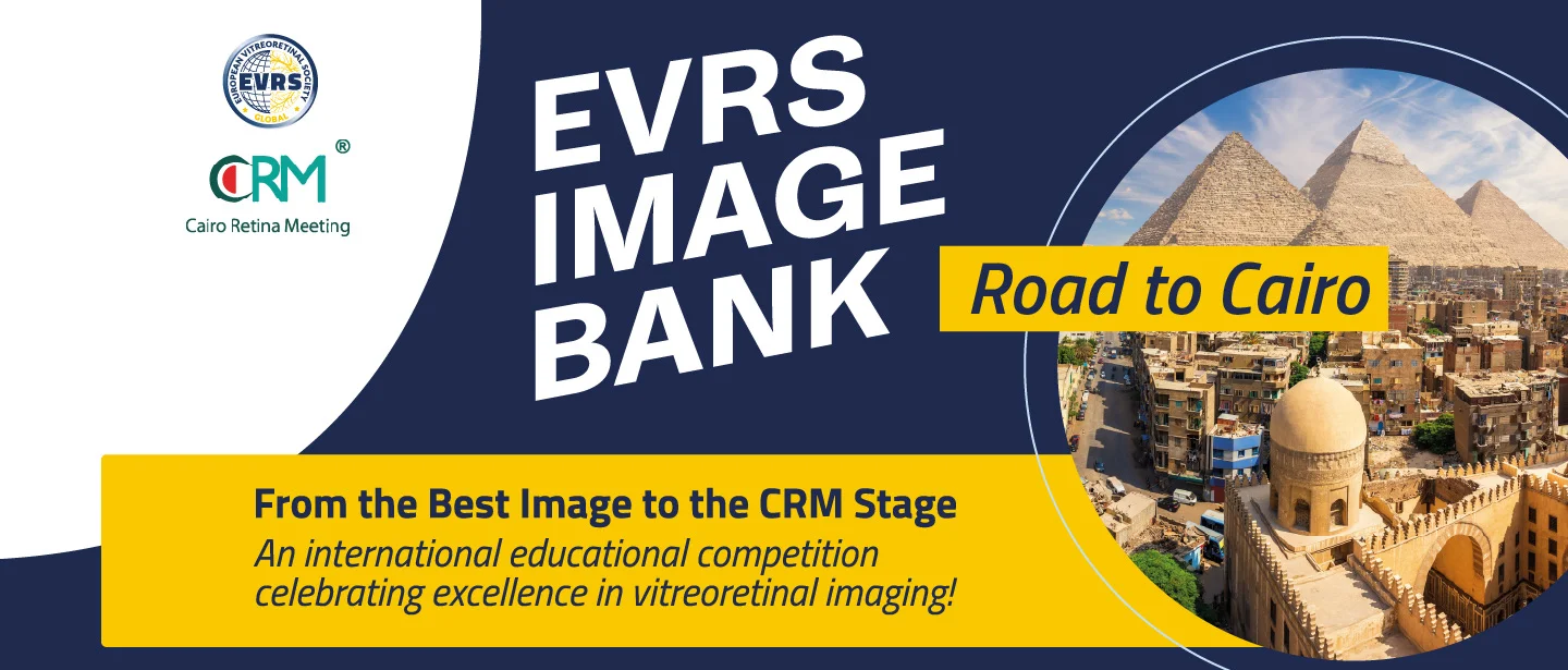 EVRS Image Bank - Road to Cairo: from the best image to the CRM stage